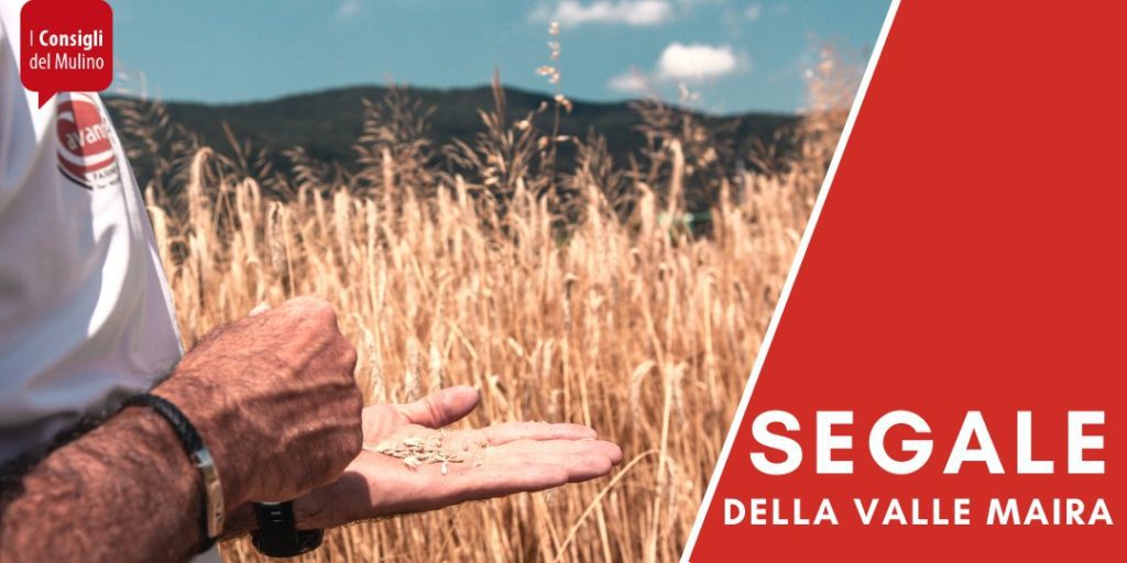 Segale della valle maira storia