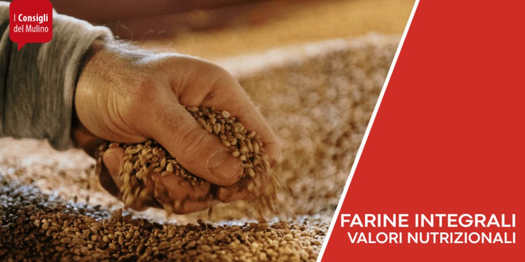 Valori nutrizionali della farina integrale