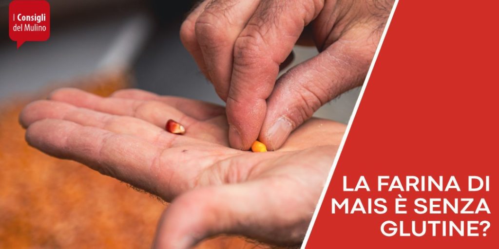 farina di mais senza glutine