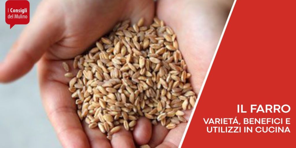 proprietà benefici e utilizzi del farro in cucina