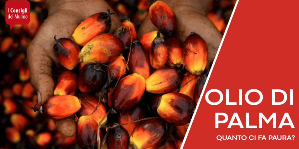 olio di palma quanto ci fa ancora paura