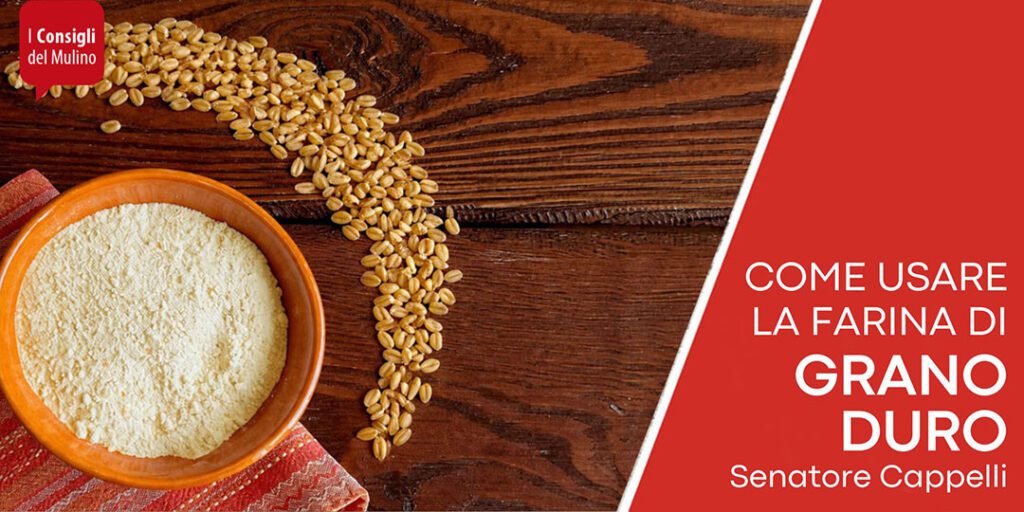 farina senatore cappelli